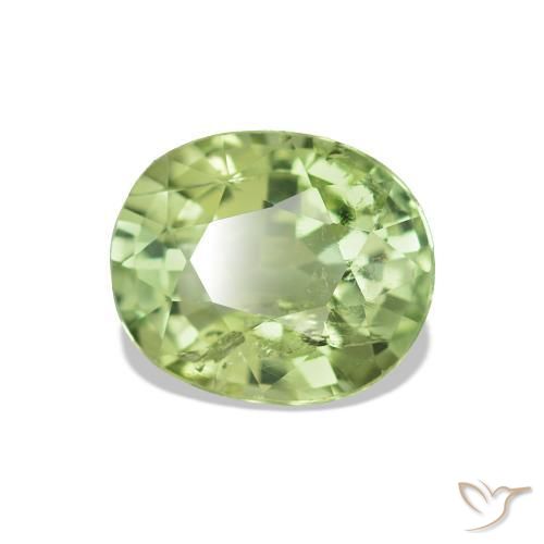 Turmalina Verde floresta Natural 1.73ct, Corte Oval, VS-SI