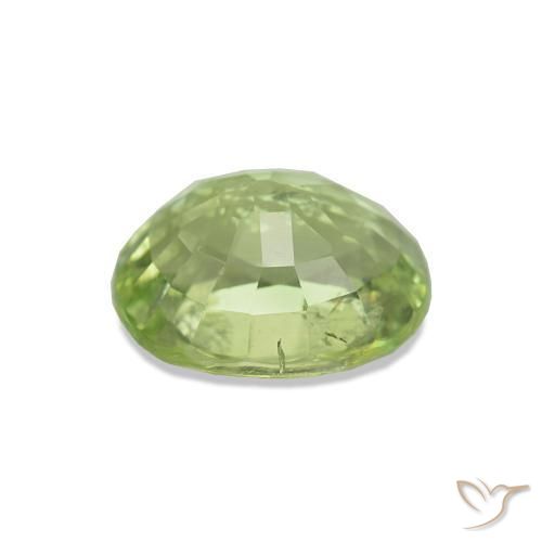 Turmalina Verde floresta Natural 1.73ct, Corte Oval, VS-SI