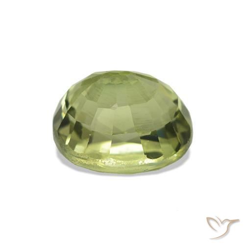 Turmalina Verde floresta Natural 1.67ct, Corte Oval, VS-SI