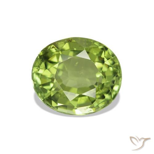 Turmalina verde quente Natural 1.73ct, Corte Oval, VS-SI