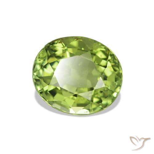 Turmalina verde quente Natural 1.73ct, Corte Oval, VS-SI