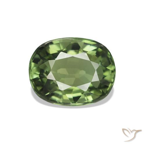 1.46ct Verde floresta Turmalina, oval, VVS