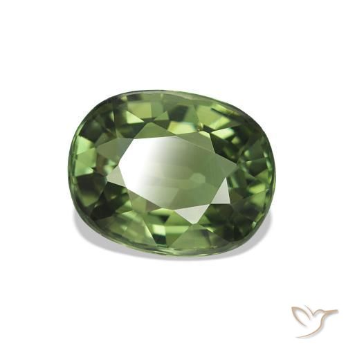 Turmalina Verde floresta Natural 1.46ct, Corte Oval, VVS