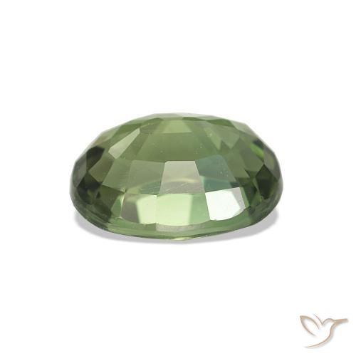 Turmalina Verde floresta Natural 1.46ct, Corte Oval, VVS