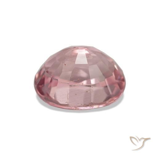 Turmalina Rosa choque claro Natural 1.66ct, Corte Oval, VVS-VS
