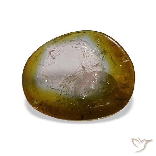 Turmalina multicolorido natural 3,48ct, forma extravagante, transparente