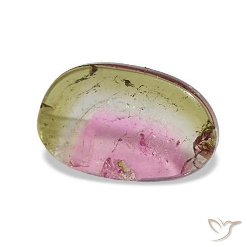 Turmalina multicolorido natural 1,66ct, forma extravagante, transparente