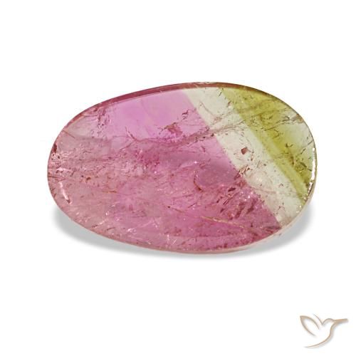 Turmalina bicolor natural 1,59ct, corte oval, transparente