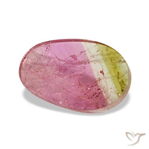 Turmalina bicolor natural 1,59ct, corte oval, transparente