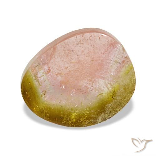 Turmalina bicolor natural 3,09ct, forma extravagante, transparente