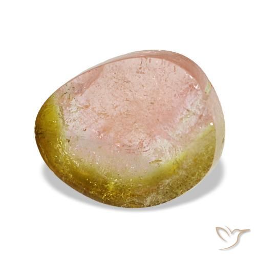 Turmalina bicolor natural 3,09ct, forma extravagante, transparente