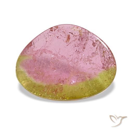 Turmalina bicolor natural 3,20ct, forma extravagante, transparente