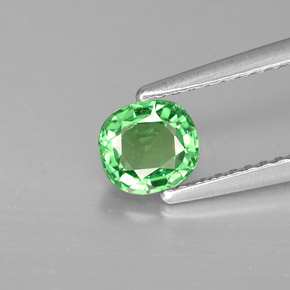 Granada tsavorita verde natural 0,64ct, almofada cortada, VS
