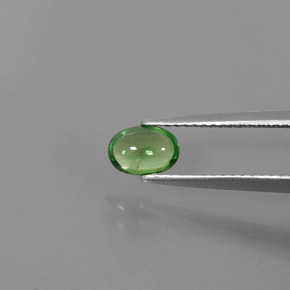 Granada Tsavorita Verde cromado Natural 0.63ct, Corte Oval, Transparente