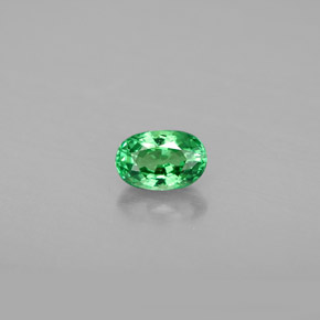 Granada tsavorita verde natural 0,64ct, corte oval, VS