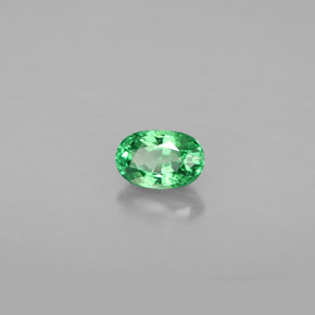 Granada tsavorita verde natural 0,64ct, corte oval, VS