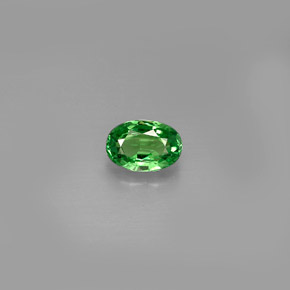 Granada tsavorita verde natural 0,62ct, corte oval, VVS-VS