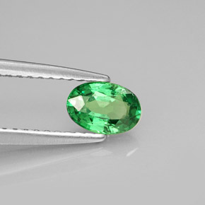 Granada Tsavorita Verde cromado Natural 0.54ct, Corte Oval, VVS-VS