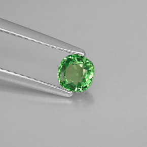 Granada tsavorita verde natural 0,35ct, almofada cortada, VVS-VS