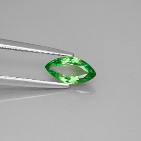 Granada tsavorita verde natural 0,64ct, marquise, VVS-VS