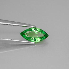 Granada tsavorita verde natural 0,83ct, marquise, VVS-VS