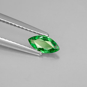 Granada tsavorita verde natural 0,33ct, marquise, VVS-VS