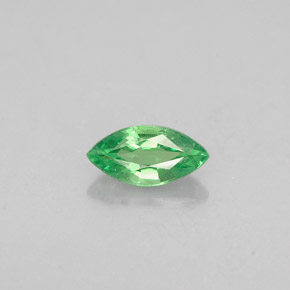 Granada Tsavorita Verde cromado Natural 0.31ct, Marquesa, VVS-VS