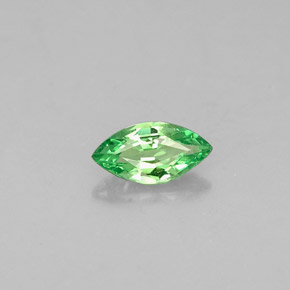 Granada tsavorita verde natural 0,27ct, marquise, VVS-VS