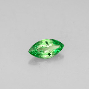 Granada tsavorita verde natural 0,26ct, marquise, VVS-VS