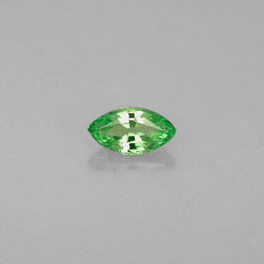 Granada tsavorita verde natural 0,31ct, marquise, VVS-VS