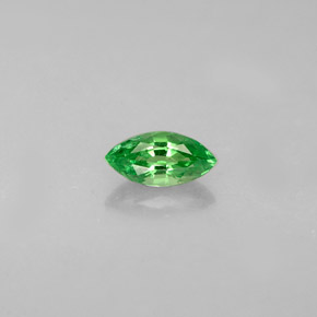 Granada tsavorita verde natural 0,33ct, marquise, VVS-VS