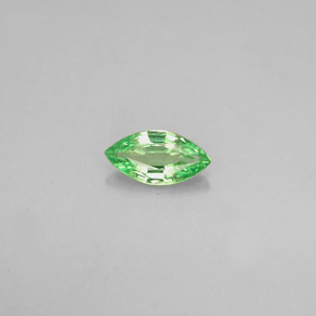 Granada tsavorita verde natural 0,27ct, marquise, VVS-VS