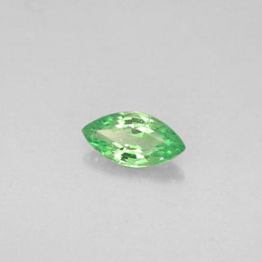 Granada tsavorita verde natural 0,28ct, marquise, VVS-VS