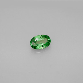 Granada Tsavorita verde vivo Natural 0.61ct, Corte Oval, VVS-VS