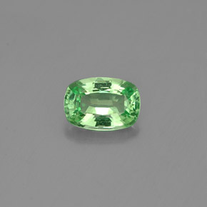 Granada tsavorita verde natural 0,48ct, almofada cortada, VVS-VS