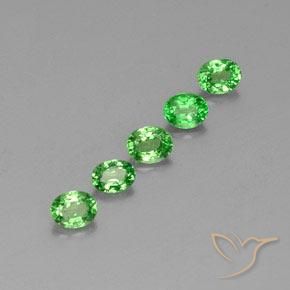 Pedras preciosas de Granada Tsavorita verde vivo natural de 1.41 ct, oval, VS
