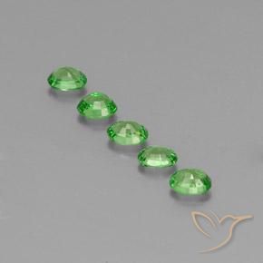 Pedras preciosas de Granada Tsavorita verde vivo natural de 1.41 ct, oval, VS