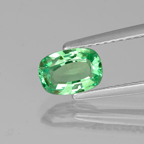 Granada tsavorita verde natural 0,84ct, almofada cortada, VVS-VS