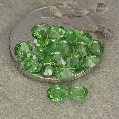 3.04ctw Natural Verde médio Granada Tsavorita, oval, VS