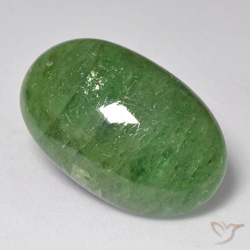 Granada Tsavorita Verde médio Natural 10.96ct, oval, Translúcido