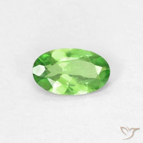 0.25ct Natural verde vivo Granada Tsavorita, oval, VVS-VS