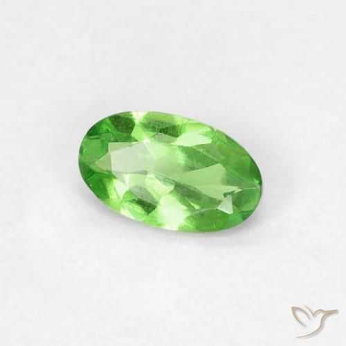 Granada Tsavorita verde vivo Natural 0.25ct, oval, VVS-VS