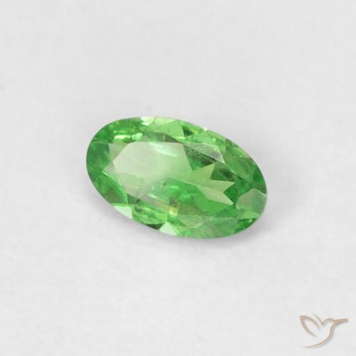 Granada Tsavorita verde vivo Natural 0.22ct, oval, VVS-VS