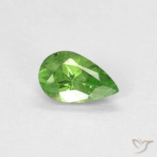 Granada Tsavorita verde vivo Natural 0.26ct, Formato de pêra, VVS-VS