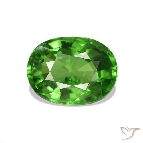 Granada Tsavorita Verde médio Natural 1.54ct, Corte Oval, VS