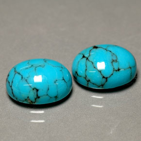 Pedras preciosas de turquesa azul natural de  ct, corte oval, opaco