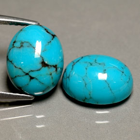 Pedras preciosas de turquesa azul natural de  ct, corte oval, opaco