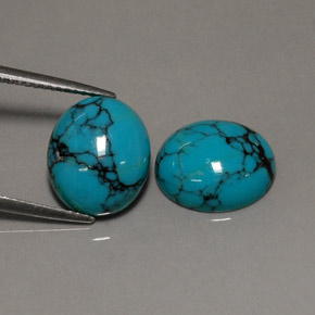 Pedras preciosas de turquesa azul natural de  ct, corte oval, opaco
