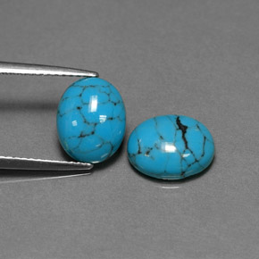 Pedras preciosas de turquesa azul natural de  ct, corte oval, opaco