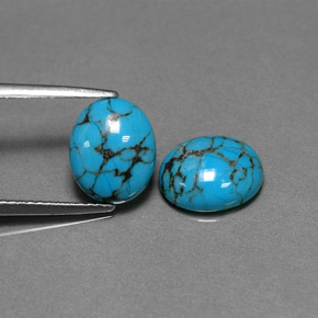 Pedras preciosas de turquesa azul natural de  ct, corte oval, opaco